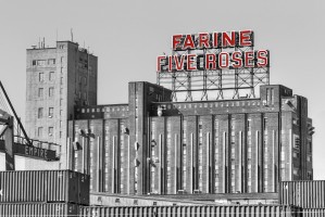 Five roses top
