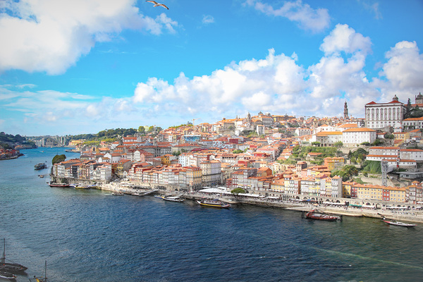 Port04 Print