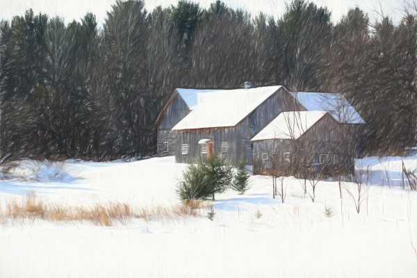Grey barn Print