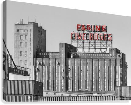 Five roses top Canvas Print
