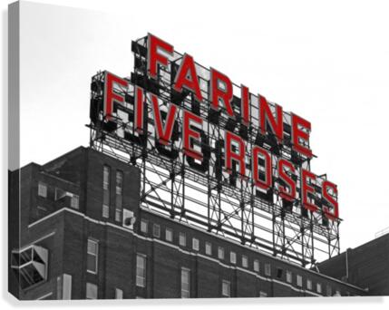 Five Roses side Canvas Print