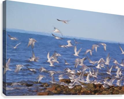 Taking off Canvas Print