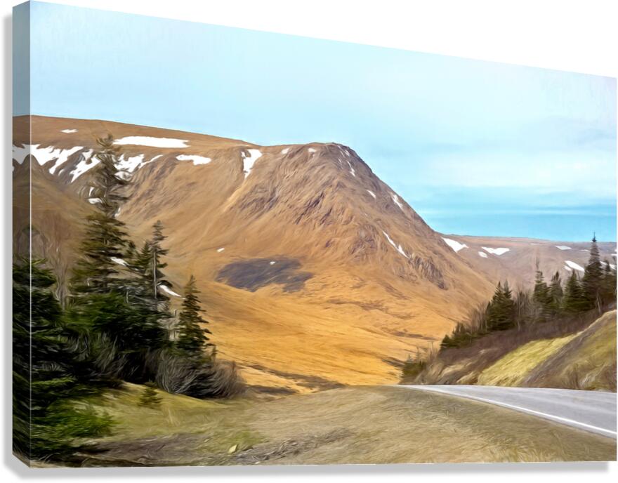 Mountainview Canvas Print