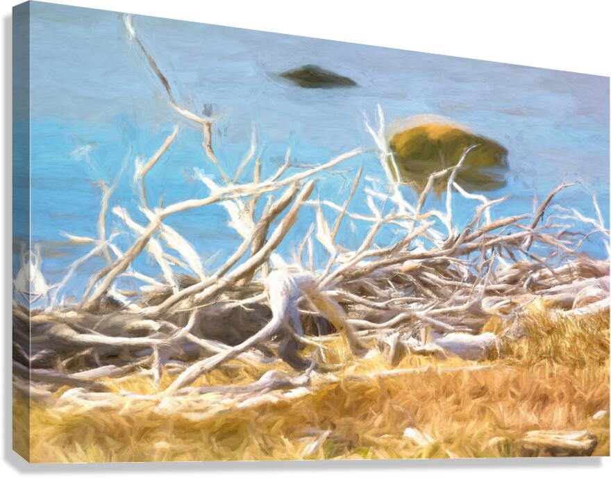 Branches Canvas Print