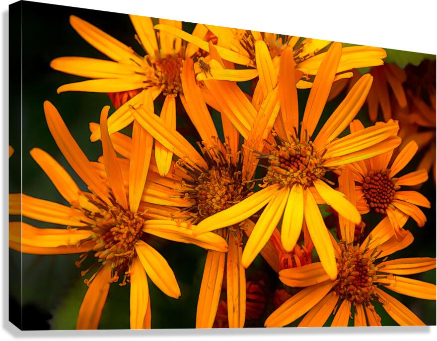Orange conception Canvas Print