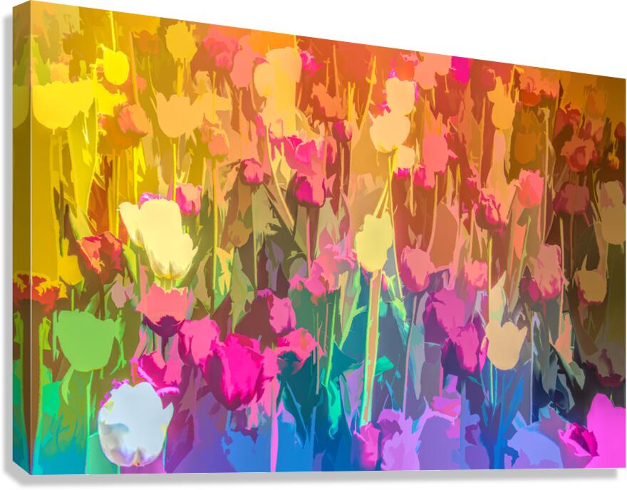 Tulipes Canvas Print