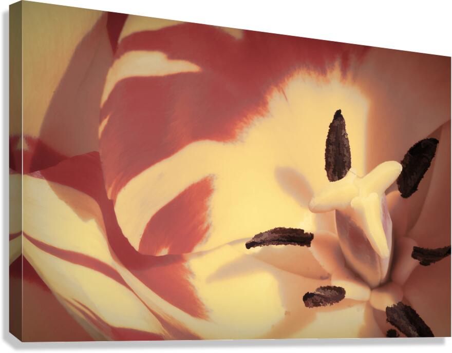 toned Canvas Print