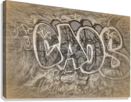 caos Canvas Print