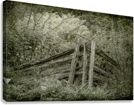 sepia Canvas Print