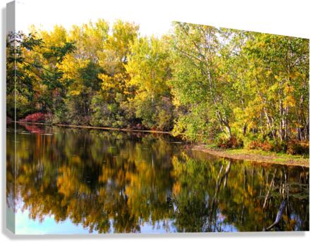automne Canvas Print