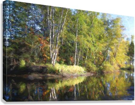 coudres3 Canvas Print