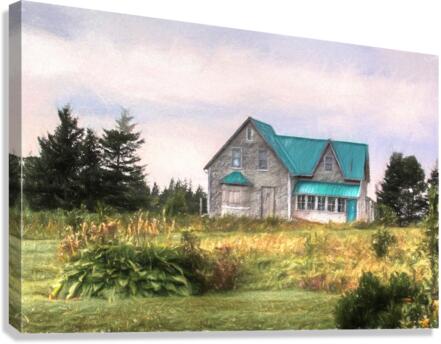 old house Canvas Print