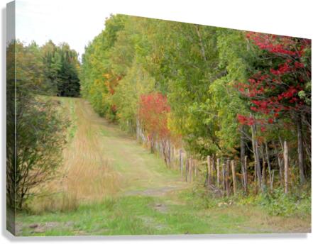 VanGogh fall Canvas Print