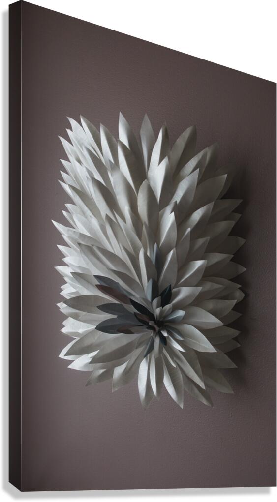 Wall Art Canvas Print