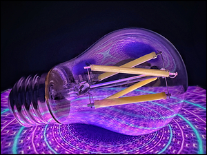 Purple Bulb