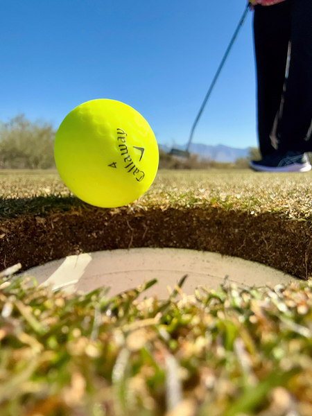 Sink the Putt by Bob Hudson