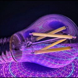 Purple Bulb