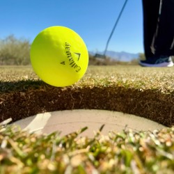 Sink the Putt