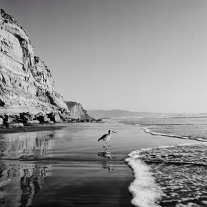 Vagabond - B&W
