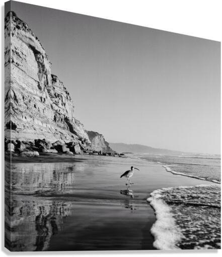 Vagabond  Canvas Print