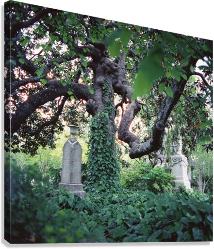 Necropolis Canvas Print