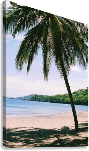 Hermosa Canvas Print