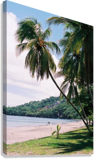 Forgotten Beach Canvas Print