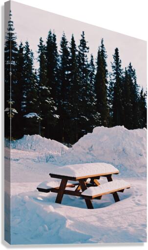 Picnic Canvas Print