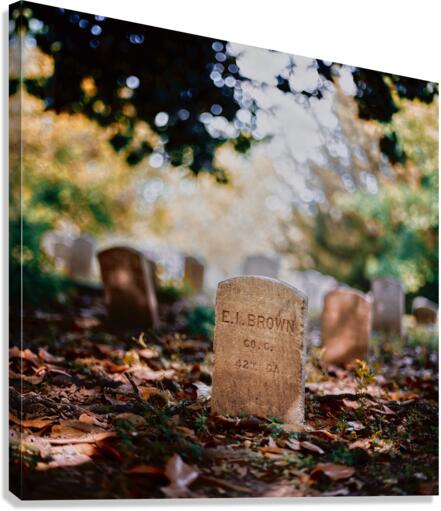 Long Gone Canvas Print