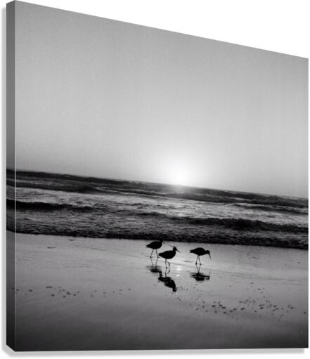 Wing Man Canvas Print
