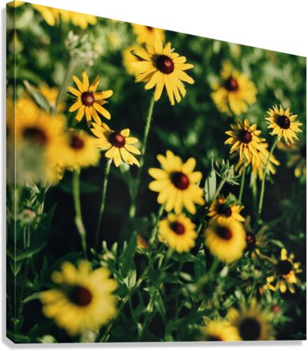 Farm Hand Canvas Print