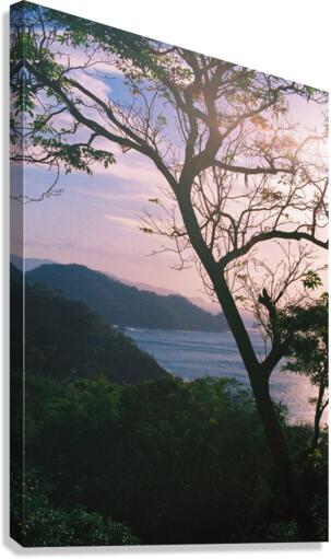 Infinity House Canvas Print
