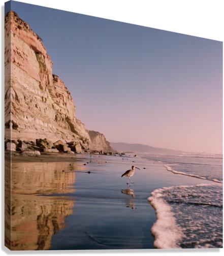 Vagabond Canvas Print