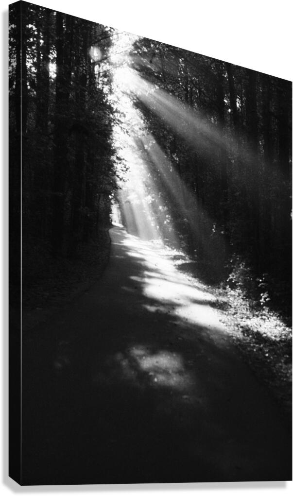 Silver Comet Canvas Print