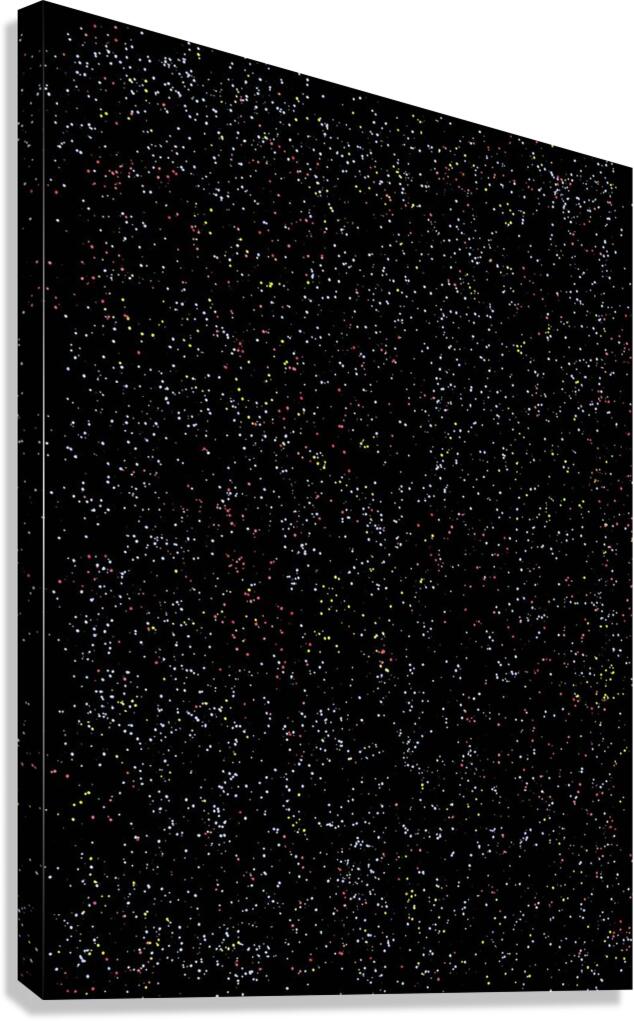 Starry Sky Canvas Print
