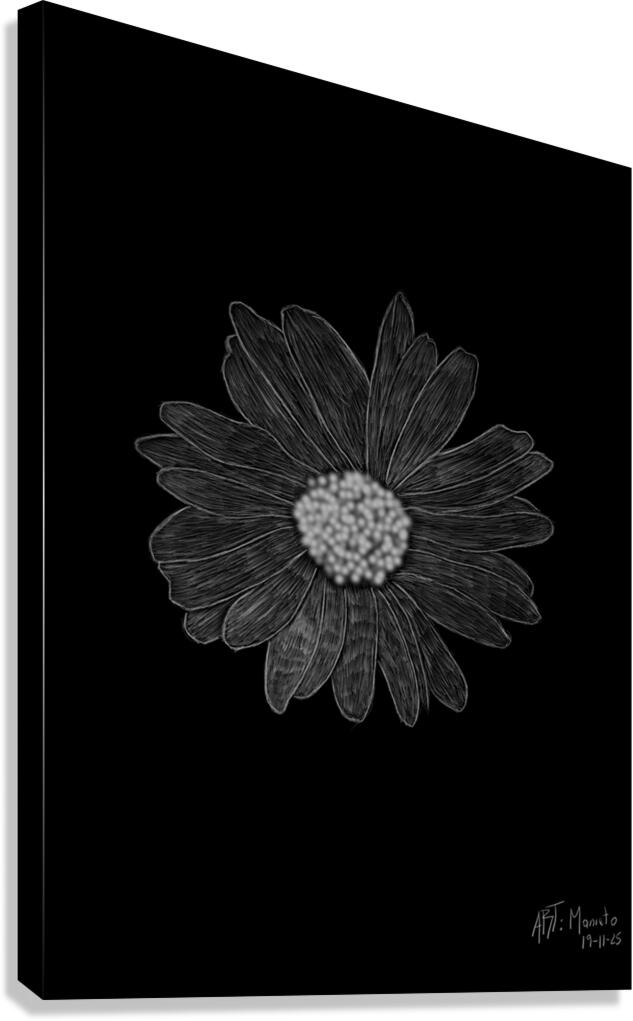 Tournesol Canvas Print