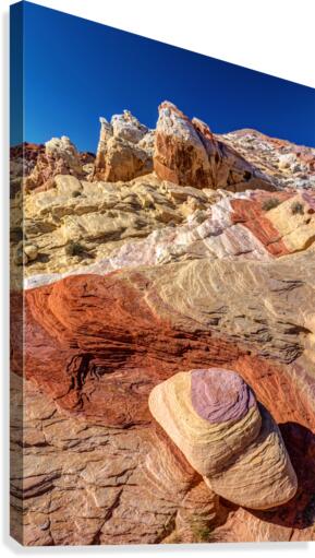 Fantasy Land Canvas Print