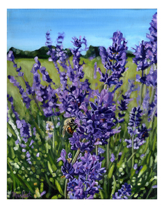lavenderbee border