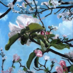 Apple Blossom