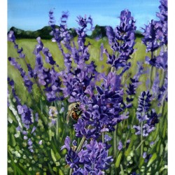 lavenderbee border