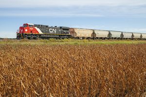 DSC1785