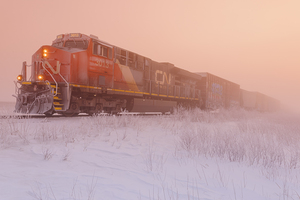 DR 16341