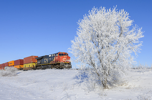 DR 16236