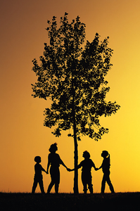 Tree of Life