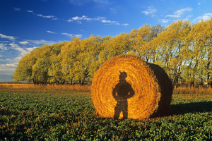 Farmer Shadow