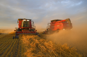 Evening Harvest in an Oat Field