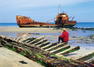 Shipwreck on Seal Island