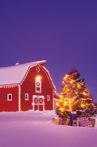 Christmas Tree With Gifts in Front of Red Barn 
