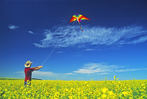 Kite Flying