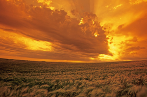 Approaching Storm